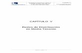 CAPÍTULO V Redes de Distribución en Media Tensión · PDF filedeben reunir en su construcción y montaje las redes de distribución en Media Tensión (MT) de ENDESA en Andalucía,