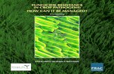 FUNGICIDE RESISTANCE IN CROP PATHOGENS: HOW  · PDF fileFUNGICIDE RESISTANCE IN CROP PATHOGENS: HOW CAN IT BE MANAGED? KEITH J BRENT St Raphael, Norton Lane, Chew