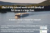 Effect of ship induced waves on drift ... - interreg- · PDF fileContent The River Danube and the “Integrated River Engineering Project” Ship-Induced Waves –Early stages of fish