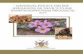 NATIONAL POLICY ON THE UTILIZATION OF DEVIL’S … Devil's Claw Policy.pdf · This policy outlines the means by which Devil’s Claw resources in Namibia ... The ‘National Policy