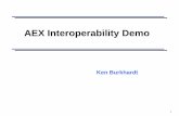AEX Interoperability Demo - cfixml.org and API SOME demo 2007-04-17.pdf · 5 Minimum Essential Set of Data Items • Using the API 610 data sheet, collaborated to establish minimum