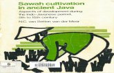 Sawah cultivation in ancient Java Aspects of development ... · PDF filewithout honouri.ng the memory of Dr R. M. Sutjipto Wirjosuparto whose ... The Balinese sekaha subak 41 ... in