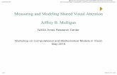 Measuring and Modeling Shared Visual Attention Jeffrey · PDF fileMeasuring and Modeling Shared Visual Attention Jeffrey B. Mulligan NASA Ames Research Center Workshop on Computational