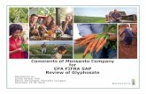 Comments of Monsanto Company for EPA FIFRA SAP · PDF fileComments of Monsanto Company for EPA FIFRA SAP ... Donna Farmer, PhD Senior Toxicologist, Monsanto Company December 13-16,