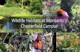 Wildlife Habitats at Monsanto’s Chesterfield Campusstlouisgreenchallenge.com/images/8.9.17Monsanto.pdf · Wildlife Habitats at Monsanto’s Chesterfield Campus ... are actively
