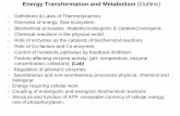 Energy Transformation and Metabolism (Outline)faculty.sdmiramar.edu/bhaidar/Bio 210A Course Documents/Lectures... · Energy Transformation and Metabolism (Outline) ... Anabolism: