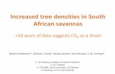 Increased tree densities in South African savannas · PDF fileIncreased tree densities in South African savannas ... Survey of ½ Ha plots on 1 m2 grid 1990s: ... Increased tree densities