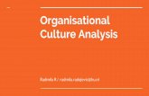 Organisational Culture Analysis - · PDF fileOrganisational Culture Analysis ... that strike you the most. E.g. you can analyze in more depth a corporate brochure or office layout.