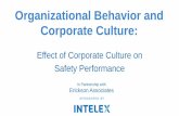 Organizational Behavior and Corporate Culture _Org Culture... · Agenda Welcome Members Voice Expert Discussion: • Corporate culture • Subcultures • Organizational Factors •