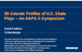 3D Seismic Profiles for Shale Plays - · PDF file3D Seismic Profiles of U S Shale 3D ... Optimize horizontal ... Middle Bakken is below conventional seismic resolutionentional seismic