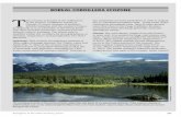 BOREAL CORDILLERA ECOZONE T - Government of · PDF filezone that stretches across the continent from the ... to semi-arid. It is marked by long, ... Boreal Cordillera Ecozone ECOREGION