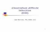 Clostridium difficile Infection (CDI) · PDF file12 Tiered Approach to Clostridium difficile Infection (CDI) Transmission Prevention C. difficiletransmission prevention activities