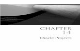 CHAPTER 14 · PDF fileOracle Project Costing Provides an ... There is a seeded Setup ... Oracle Projects . Oracle E-Business Suite Financials Handbook. Chapter 14: Oracle