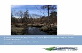 New stream channel, Feb 2016 Haig-Brown Kingfisher · PDF fileHaig-Brown Kingfisher Creek Restoration 2015/2016 ... The Haig-Brown Kingfisher Creek Restoration Project 2015/2016 was
