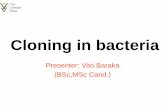 Presenter: Vito Baraka (BSc,MSc Cand.)ipmbgazette.weebly.com/uploads/1/0/3/0/1030249/vito.pdf · DNA of Simian Virus 40: Circular SV40 DNA Molecules Containing Lambda Phage Genes