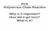 PCR Polymerase Chain Reaction Why is it important? How  · PDF filePCR Polymerase Chain Reaction Why is it important? How did it get here? What is it?