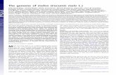 The genome of melon (Cucumis melo L.) · PDF file · 2012-10-01The genome of melon (Cucumis melo L.) Jordi Garcia-Masa,1, Andrej Benjak a, Walter Sanseverinoa, Michael Bourgeois ,