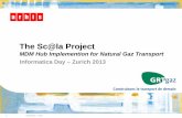 The Sc@la Project -  · PDF filebased on the tool MDM Hub Informatica (Master Data Management) RFO is completed by Informatica Powercenter used as a