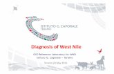 Di iDiagnosis of West Nile - Food and Agriculture · PDF file¾bebe reluctant reluctant oror unableunable toto movemove whenwhen disturbeddisturbed ... Isolation in Vero Isolation