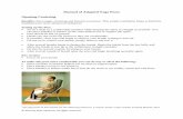 Manual of Adapted Yoga Poses Opening · PDF fileManual of Adapted Yoga Poses Opening Centering Benefits: Encourages centering and internal awareness. This simple meditation helps to