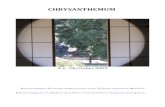 CHRYSANTHEMUM 6.pdf · Internet magazine for modern verse forms in the tradition of Japanese ... HAIKU & TANKA 3 HAIBUN 17 FEATURE – GENDAI HAIJIN BAN'YA NATSUISHI 21 FEATURE –