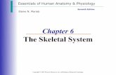 The Skeletal System - Yolamscoxholyname.yolasite.com/resources/Ch6SketletalSystem.pdf · Microscopic Anatomy of Bone Slide 5.10a Osteon (Haversian System): A cylindrical unit of bone