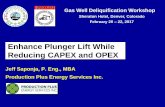 Enhance Plunger Lift While Reducing CAPEX and OPEXalrdc.org/workshops/2017_2017gaswellworkshop/Private/Production... · Gas Well Deliquification Workshop Sheraton Hotel, Denver, Colorado