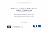 Mathematical Skills in the Workplacegartside/mathskills_at_work.pdf · Institute of Education, University of London Science, Technology and Mathematics Council Mathematical Skills