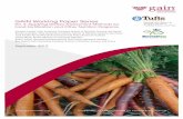 GAIN Working Paper Series no. 4 - HarvestPlus | HarvestPlus Assessment Methods... · GAIN Working Paper Series no. 4 v potential for making the method more “fortification” and