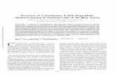 Presence of Cytochrome P-450-Dependent Monooxygenase …hyper.ahajournals.org/content/hypertensionaha/7/6_Pt_1/899.full.pdf · Presence of Cytochrome P-450-Dependent Monooxygenase