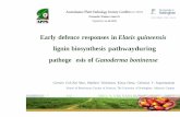 Early defence responses in Elaeis guineensis lignin ... · PDF fileEarly defence responses in Elaeis guineensis lignin biosynthesis pathwayduring pathoge esis of ... • LiCgyntoinchrome