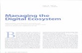 Manaqing the Digital Ecosystem - Simmons Collegeweb.simmons.edu/~weigle/ISEL ISIC ATTITUDES... · Manaqing the Digital Ecosystem ... higher education has evolved from islands of innovation,