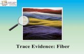 Trace Evidence: Fiber - Dr. Hall's Science Sitetinamhall.weebly.com/uploads/4/6/6/5/46654775/unit_4_-_fiber... · Common trace evidence ! ... Fibers • Fiber evidence properties:
