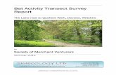 Bat Activity Transect Survey Report - · PDF fileBat Activity Transect Survey Report _____ The Land next to Quakers Walk, Devizes, Wiltshire for Society of Merchant Venturers ... Eptesicus