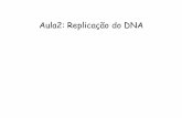 Aula2: Replicação do DNA - iq.usp. · PDF fileThe Klenow fragment of DNA polymerase I has a shape somewhat ... A técnica de “polymerase chain reaction” ... Microsoft PowerPoint