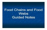 Food Chains and Food Webs Guided Notes - Miss-PavlakovicChains+Webs... · _____- Shows the amount of energy that moves from one feeding level to another in a food web. A. Only _____