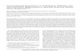Transcriptional Regulation of Arabidopsis MIR168a ... · PDF fileARGONAUTE1 Homeostasis in Abscisic Acid and Abiotic Stress Responses1[W] Wei Li, Xiao Cui, Zhaolu Meng, ... * Corresponding