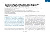 Resveratrol Ameliorates Aging-Related Metabolic · PDF file2/19/2013 · Resveratrol Ameliorates Aging-Related Metabolic Phenotypes by Inhibiting cAMP Phosphodiesterases Sung-Jun