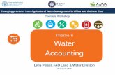 Theme 6 Water Accounting - fao. · PDF fileWater Accounting Emerging ... • Water footprints • Water accounting for firms ... Water Audit concluding comprehensive and summary reports.