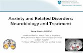 Anxiety and Related Disorders: Neurobiology and Treatmentmedia-ns.mghcpd.org.s3.amazonaws.com/psychopharm2016/2016... · DSM-5 reorganized Anxiety Cluster , SMR Grey . ... associated