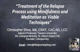 Treatment of the Relapse Process using Mindfulness and ... · PDF file"Treatment of the Relapse Process using Mindfulness and Meditation as ... vulnerable to a trigger event 5. ...