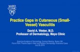 Practice Gaps in Cutaneous (Small- Vessel) Vasculitis F004... · ©2015 MFMER | 3440206-1 Practice Gaps in Cutaneous (Small-Vessel) Vasculitis David A. Wetter, M.D. Professor of Dermatology,