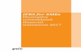 IFRS for SMEs Illustrative consolidated financial ... · PDF fileCertain types of transactions have been excluded, ... These illustrative financial statements are not a substitute