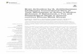 Brain Activation by H1 Antihistamines Challenges ...openaccess.sgul.ac.uk/108941/1/fphys-08-00412.pdfreceptor antagonists, mepyramine (brain penetrant), and cetirizine (non-brain penetrant),