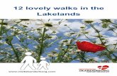 12 lovely walks in the Lakelands - · PDF file12 lovely walks in the Lakelands ... dragon fly through your binoculars. ... but parts of the walk in the Deer Park are signposted as