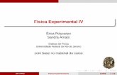 Física Experimental IV - if.ufrj.brpoly/pdf/aulaStefanBoltzman.pdf · F´ısica Experimental IV Erica Polycarpo´ Sandra Amato Instituto de F´ısica Universidade Federal do Rio
