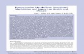 Homocysteine Metabolism: Nutritional Modulation and · PDF fileHomocysteine Metabolism: Nutritional Modulation and Impact on Health and ... cated in a number of other clinical conditions,
