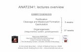 ANAT2341: lectures overview - Embryology · PDF fileANAT2341: lectures overview ... Gametogenesis: oogenesis and spermatogenesis Fertilization Resources ANAT2341: