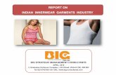 REPORT ON INDIAN INNERWEAR GARMENTS INDUSTRY Industry Pitch... · REPORT ON INDIAN INNERWEAR GARMENTS INDUSTRY ... 1 Amul 300.00 2 Jockey 254.65 3 ... Media and Telecom, Healthcare,