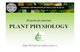 Practical courses PLANT PHYSIOLOGY - Univerzita Karlovakfrserver.natur.cuni.cz/lide/edmunz/praktika_fr/mb130p13e/... · Ross Koning -Plant Physiology Information Website. ... Light
